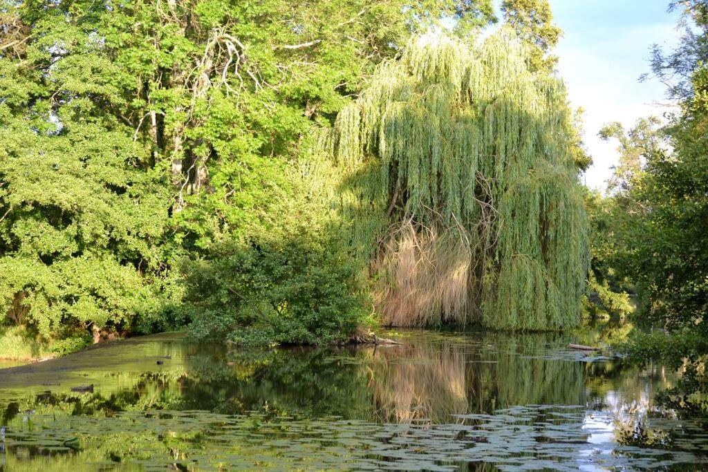Villa Magnifique Moulin Proche Chablis, Jacuzzi Et Riviere Annay-sur-Serein Exterior foto