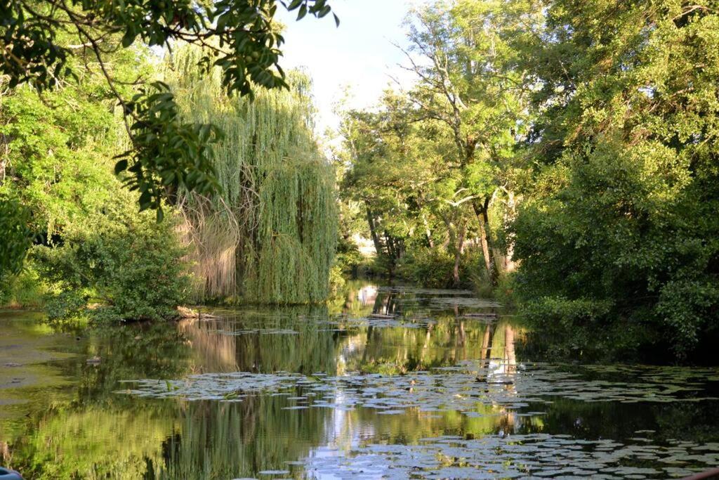 Villa Magnifique Moulin Proche Chablis, Jacuzzi Et Riviere Annay-sur-Serein Exterior foto
